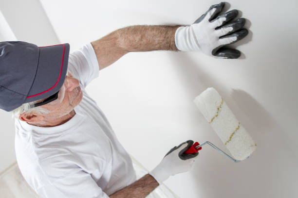Best Mold Damage Restoration  in Longwood, FL