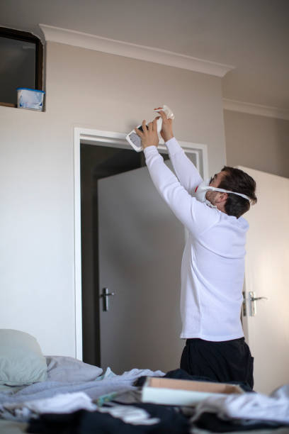 Best Emergency Mold Remediation  in Longwood, FL
