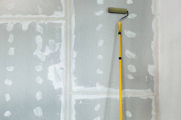 Longwood, FL Mold Removal Company