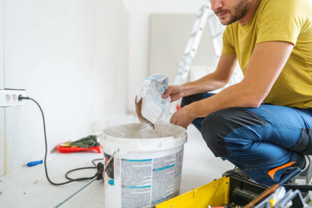 Best Attic Mold Removal  in Longwood, FL