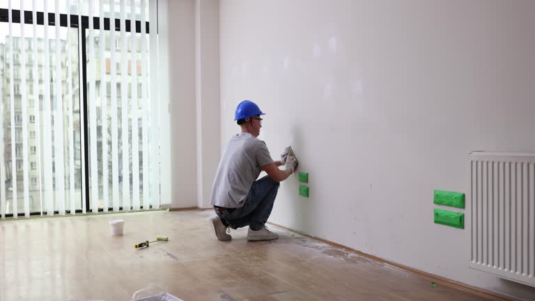 Best Mold Odor Removal Services  in Longwood, FL