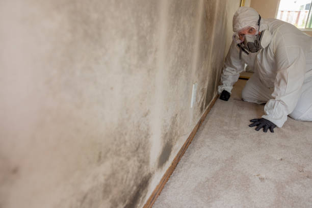 Best Commercial Mold Inspection  in Longwood, FL