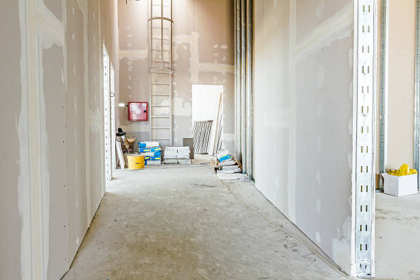 Best Air Quality Testing for Mold Spores  in Longwood, FL
